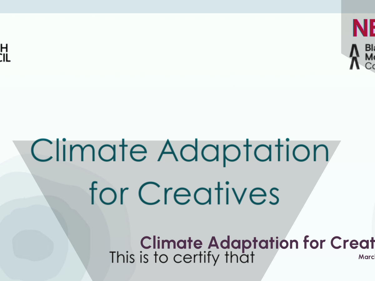 Climate Adaptation for&nbsp;Creatives